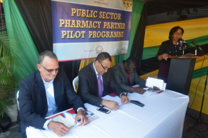Kingston Launch of Public Sector Pharmacy Partner Pilot Programme - Tuesday February 28, 2017