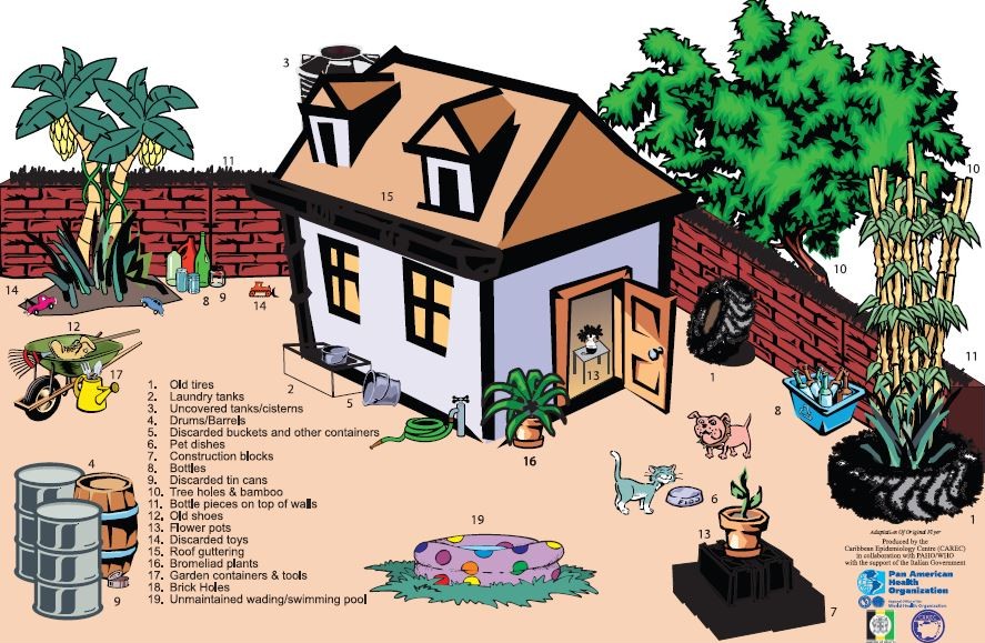 Dengue Breeding Sites