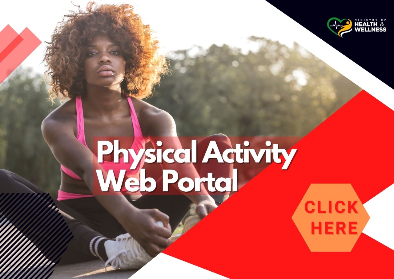 Physical Activity Web Portal